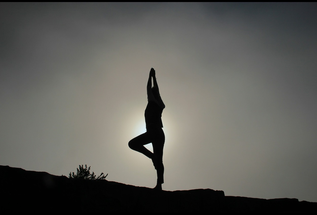 Bntamnh E demystified: everything you need to know